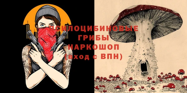 наркотики Новодвинск