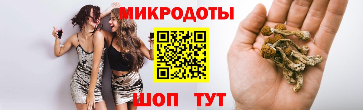 Псилоцибиновые грибы Psilocybine cubensis Фролово